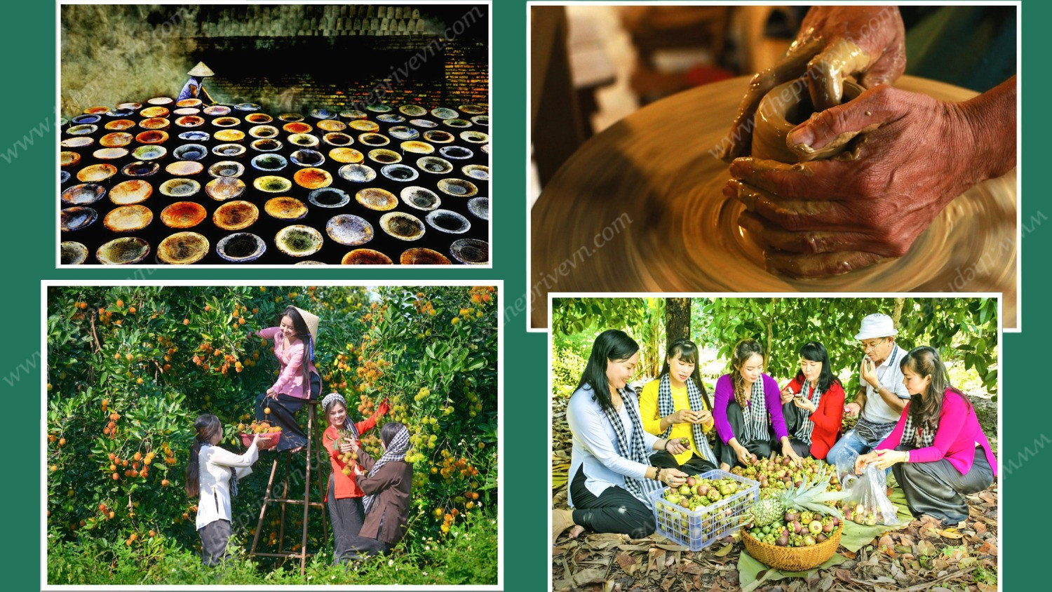 Cảm Hứng Thiết Kế The Emerald Garden View